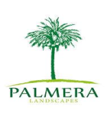 palmera