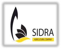 sidra